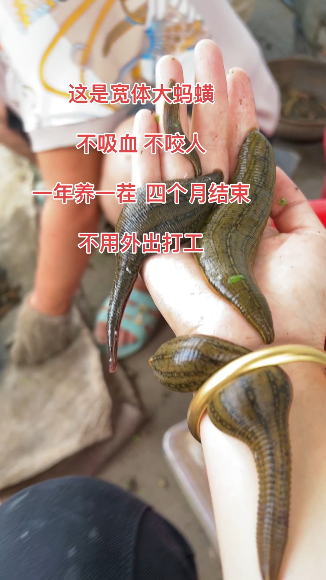 看点 第41页